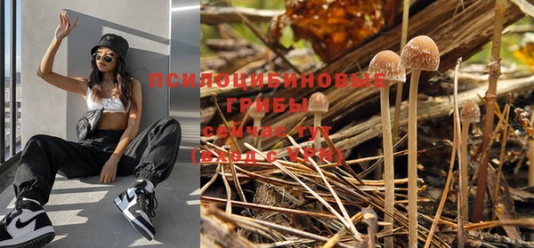 эйфоретик Пестово