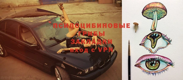 герыч Пересвет