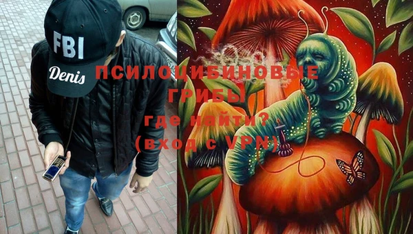 PSILOCYBIN Осташков
