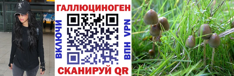 Псилоцибиновые грибы ЛСД  Купить закладки  Кисловодск 