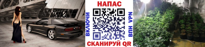 Бошки Шишки марихуана  Купить закладки  Кисловодск 